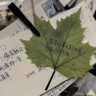 Robô FORTUNE