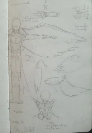 Justiceiros dos ares (grupo de Ocs)