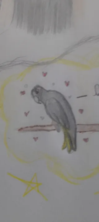 Desenho