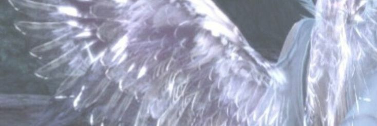 Capa de Flyora Liebert