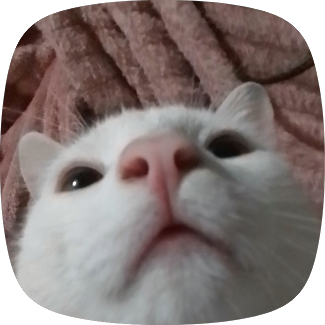 Nerd_artcat