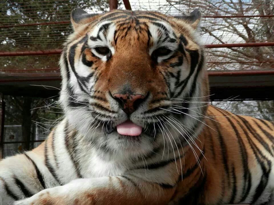Lanlanja :D
